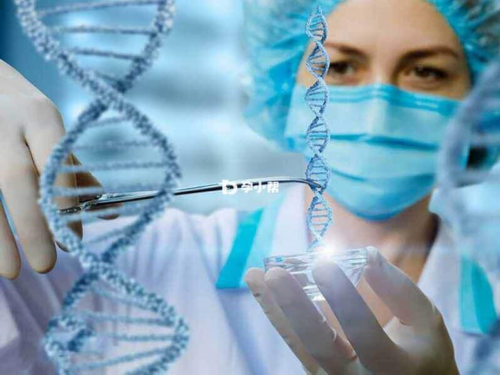 上海捐卵多少钱,上海捐卵试管有无风险_生殖医院供卵