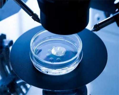 上海助孕宝宝喝奶哼唧上海助孕宝宝喝奶哼唧怎么回事