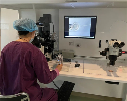 多囊卵巢做试管的成功率有多少(多囊是促排好还是试管)~医院供卵代生