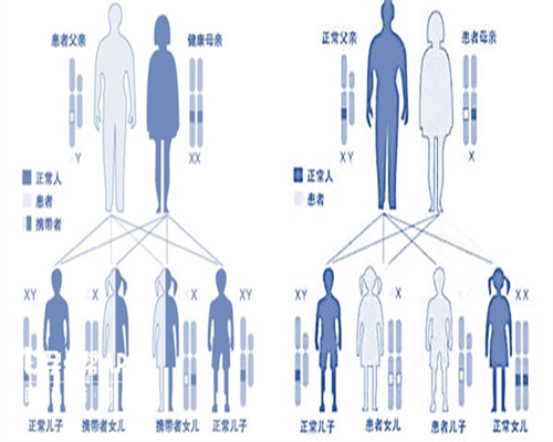 上海供卵子机构，上海靠谱供卵中介,上海供卵中介哪家不用排队