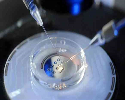 美国试管婴儿囊胚移植后子宫收缩有影响吗？-沧州供卵成功率_上海供卵试管双