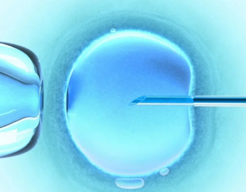 上海专业代生公司,附件炎性包块在北京做试管成功率高还是在上海做成功率高