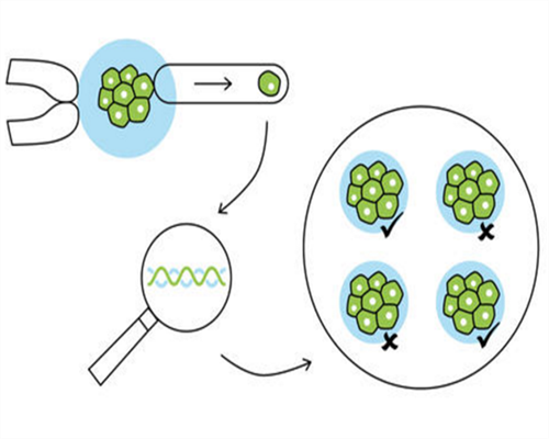 上海捐卵试管有无风险,上海捐卵多少钱_代怀公司供卵