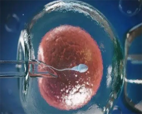 上海试管医院有哪些？上海最有名的试管医院？