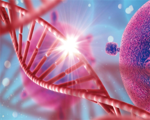 如何提升常州妇幼试管婴儿成功率？方法有很多_上海正规供卵试管婴儿医院_上