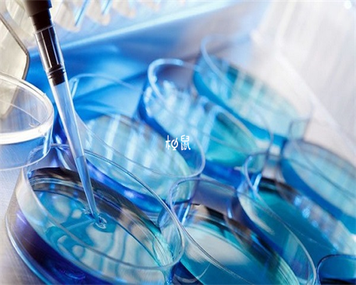 上海助孕宝宝多久会走路