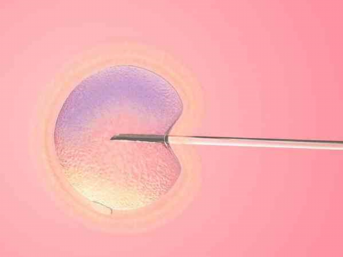 两个卵泡一大一小都会排出来吗