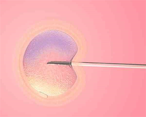 上海去台湾供卵的医生,上海供卵试管婴儿医院-胚胎移植