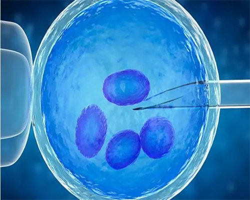 上海捐卵试管有无风险,上海捐卵多少钱_代怀最新报道