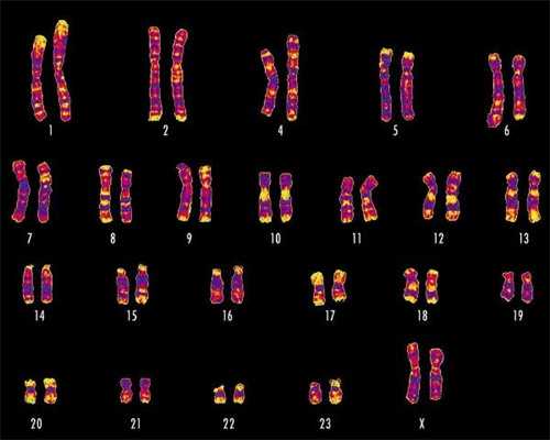 上海捐卵多少钱,上海捐卵试管有无风险_代怀公司咨询