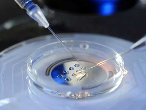 上海全国助孕成功率、上海成功率高的助孕机构