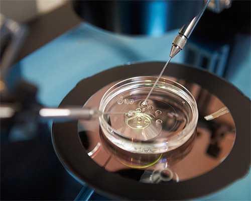 上海代生的地方，捐卵供卵生男孩上海代生（用别人的卵子长得像谁呢）