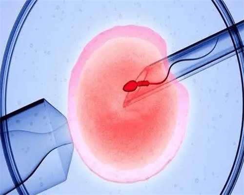 上海捐卵多少钱,上海捐卵试管有无风险-代孕最靠谱公司