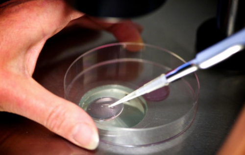 上海怎么找代怀,上海代怀生子试管机构最新排名,附2026借卵生男孩费用一览!