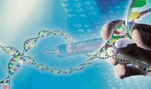 上海捐卵多少钱,上海捐卵试管有无风险-代孕哪家最便宜