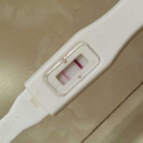 上海找男人助孕，上海助孕产子:做性激素六项检查多少钱