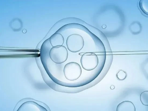 上海试管大概多少钱,上海做试管大概要多少钱