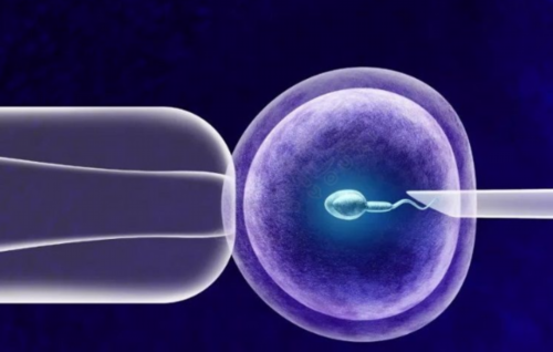 排卵后姨妈感是不是没怀上？~助孕生男孩