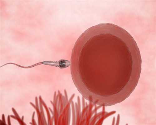 HIV患者能生下健康上海助孕宝宝吗？