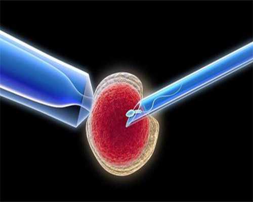 上海怎么找借腹生子中介,上海供卵试管价格多少钱,【上海代孕基地,孕育奇迹