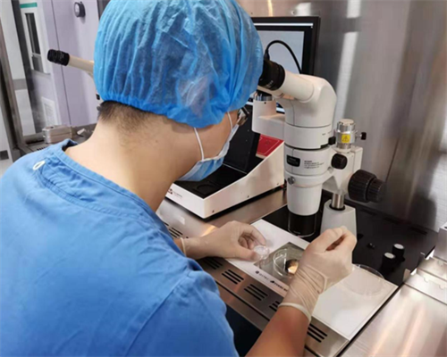 上海，供卵成功多高?,上海仁济医院供卵流程-代生医生咨询