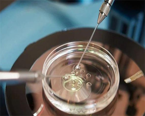 上海三代包性别，上海三代供卵试管婴儿价格是多少?费用10万够吗?