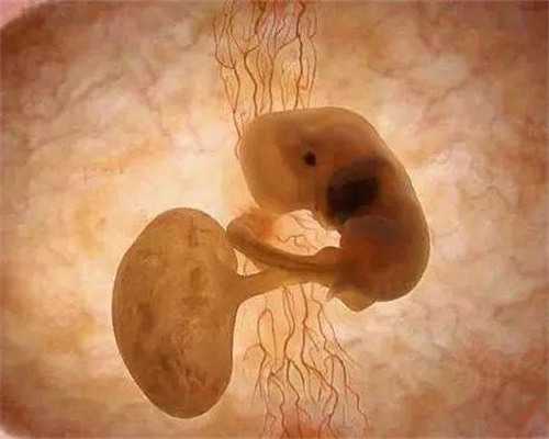 满月上海助孕宝宝奶量