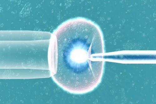 上海做试管好的医院,揭秘上海助孕机构哪家好