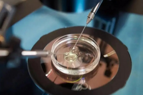 上海在哪找代怀，上海代怀生子试管机构新排名,附2026借卵生男孩费用一览！