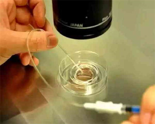 上海助孕生小孩,上海供卵要选坤和助孕ok,上海助孕中心就选坤和