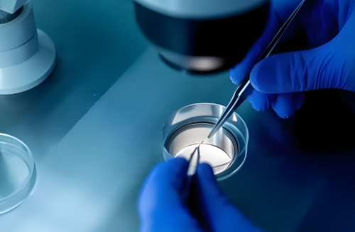 上海代生母多钱，揭阳婴儿捐卵供卵生男孩上海代生