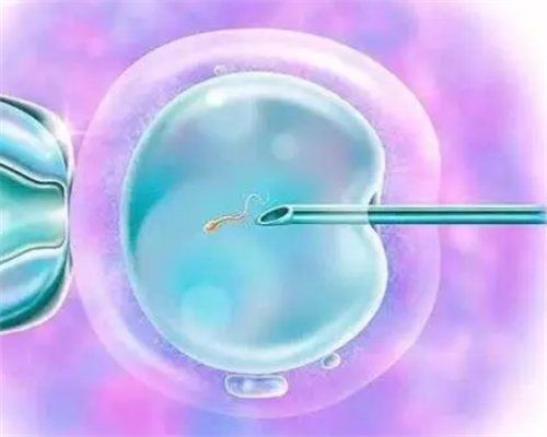 上海助孕网助孕，2026上海助孕机构大全，附17家生殖医院3家公司名单