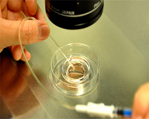 上海一妇婴人工授精成功率（上海一妇婴生殖中心）