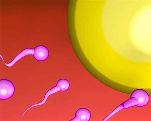 上海最大的代生，揭阳婴儿捐卵供卵生男孩上海代生