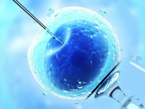 上海哪里代怀好,上海代怀生子试管机构最新排名,附2026借卵生男孩费用一览!