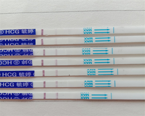 上海交通大学医学院附属新华医院试管成功率
