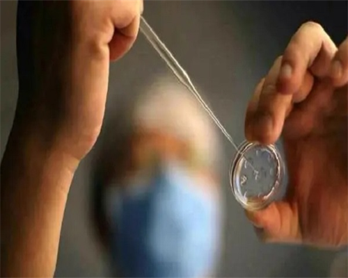 试管婴儿成功怀孕的概率，比自然怀孕成功率高吗,代生性别优选