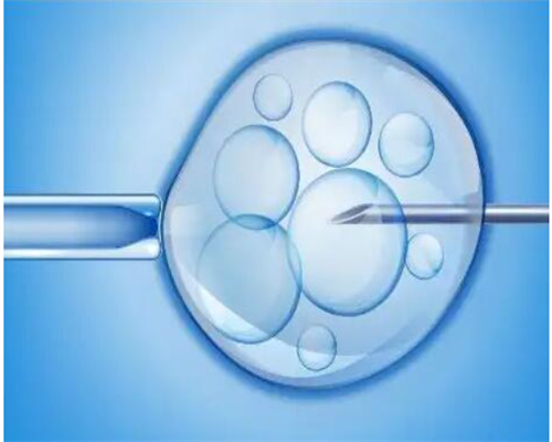 上海试管婴儿医院有哪些?上海试管婴儿哪家医院?