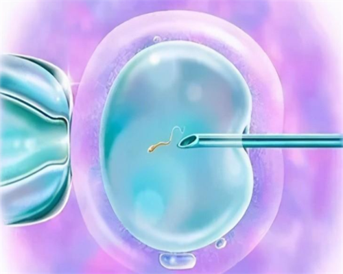 上海供卵多少钱,上海供卵试管费用多少_捐卵代孕医院