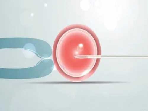 上海哪家试管医院最好，上海试管医院排名介绍