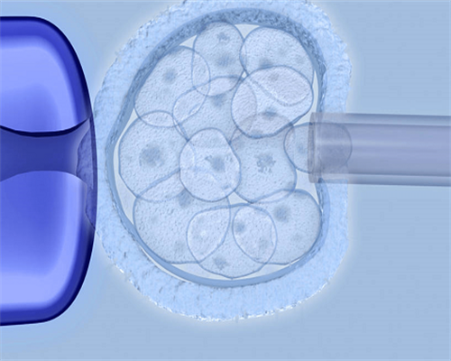 上海供卵在哪里,上海供卵试管费用预估附上海供卵试管医院排名