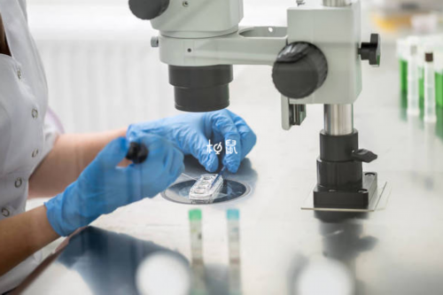 上海知名代孕网，回忆我在上海代孕那段度日如年的日子