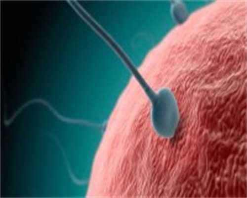 上海85万找助孕,上海供卵试管多少钱?包性别吗?咨询南方39助孕中心