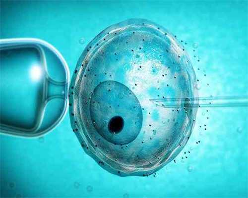 上海助孕宝宝反复湿疹是过敏体质吗？上海助孕宝宝湿疹反复怎么办？