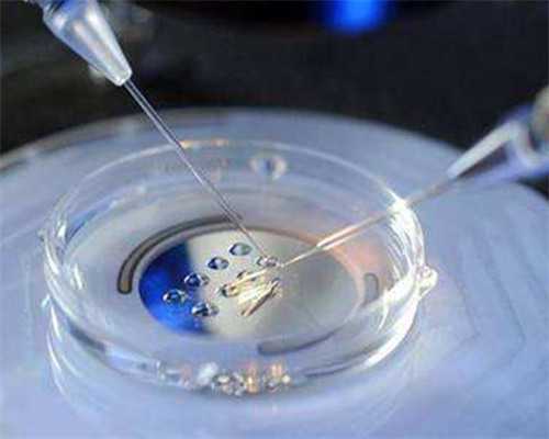 上海捐卵试管有无风险,上海捐卵多少钱-代怀孕包出生