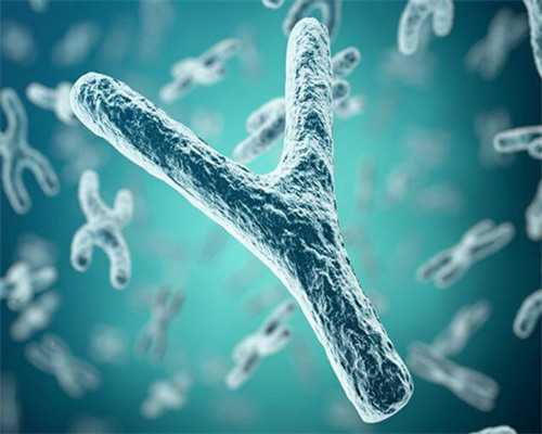 上海捐卵试管有无风险,上海捐卵多少钱_正规借卵机构