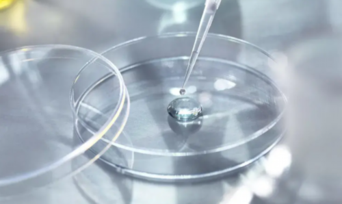 上海供卵靠谱吗,上海供卵靠谱吗(上海世纪助孕靠谱吗)