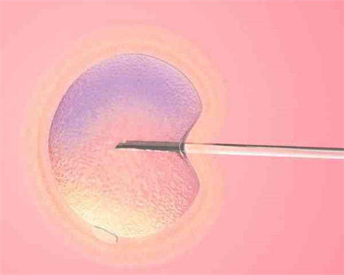 上海仁济医院供卵流程,上海供卵试管多少钱_代怀联系