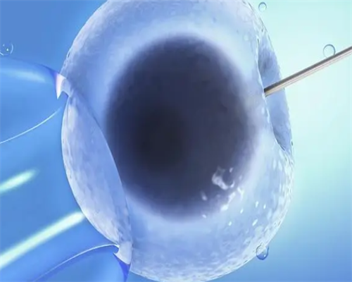 上海帮人代生费用,上海试管婴儿和人工授精哪个成功率高-上海做供卵试管婴儿