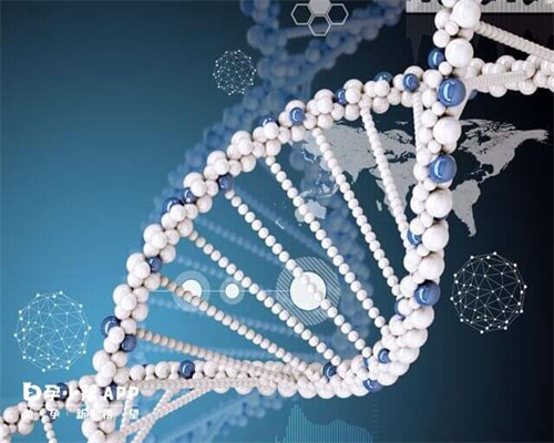 试管婴儿的九大危害~供卵助孕试管